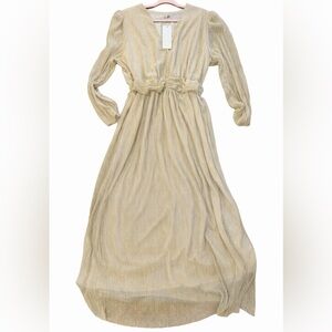 Carla Conti Made in Italy Gold Metallic Pleated Empire Waist Maxi Dress 2X NWT